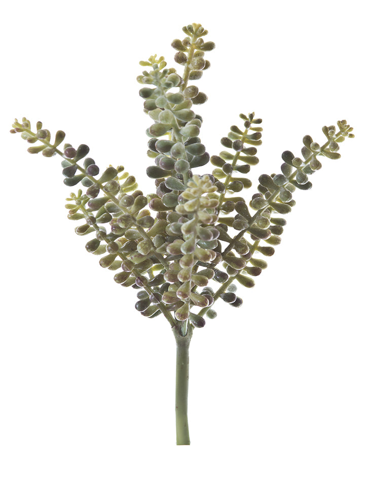 2130053GR 10.5" Sedum Pick - A&B Wholesale Market Inc