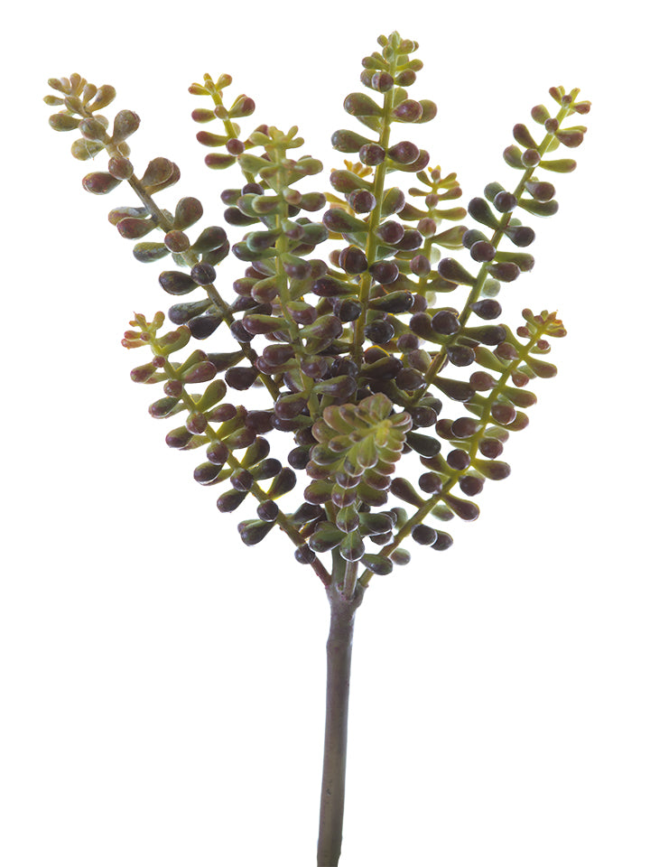 2130053YB | 10.5" | SEDUM PICK | YELLOW/BLUE