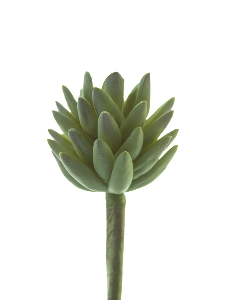 2130104GR 7" Agave Stem - A&B Wholesale Market Inc