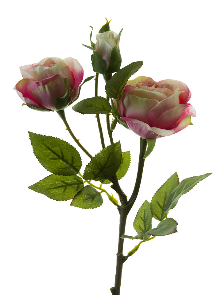 2220063MV | 17" | ROSE SPRAY 2F1B | MAUVE