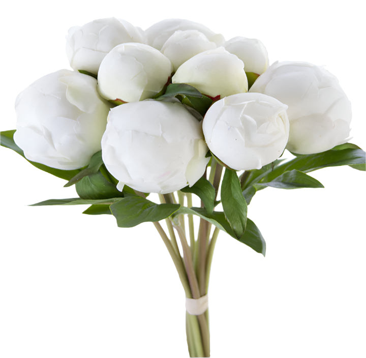 2253003CR | 12" | PEONY BUD BUNDLE X10 | FRESH TOUCH | CREAM - A&B Wholesale Market Inc