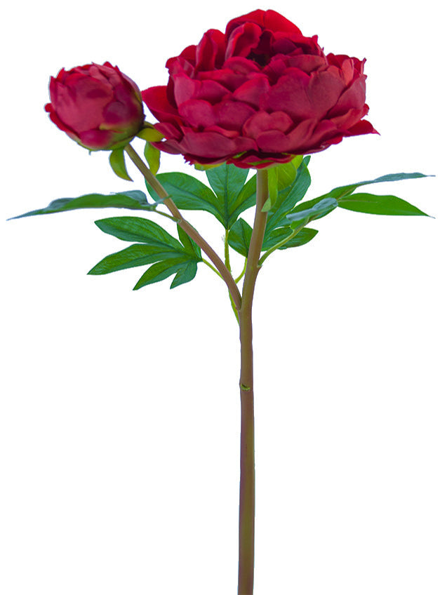 2253004RD | 26" | FRESH TOUCH HEIRLOOM PEONY X1F1B | RED