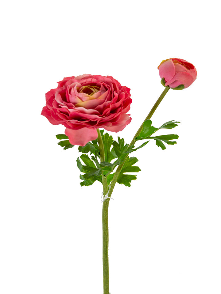 2280019RS | 22" | RANUNCULUS X2 | ROSE PINK