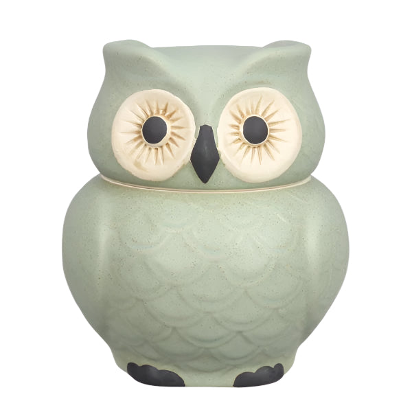 22285 STONEWARE OWL GOODIE JAR
