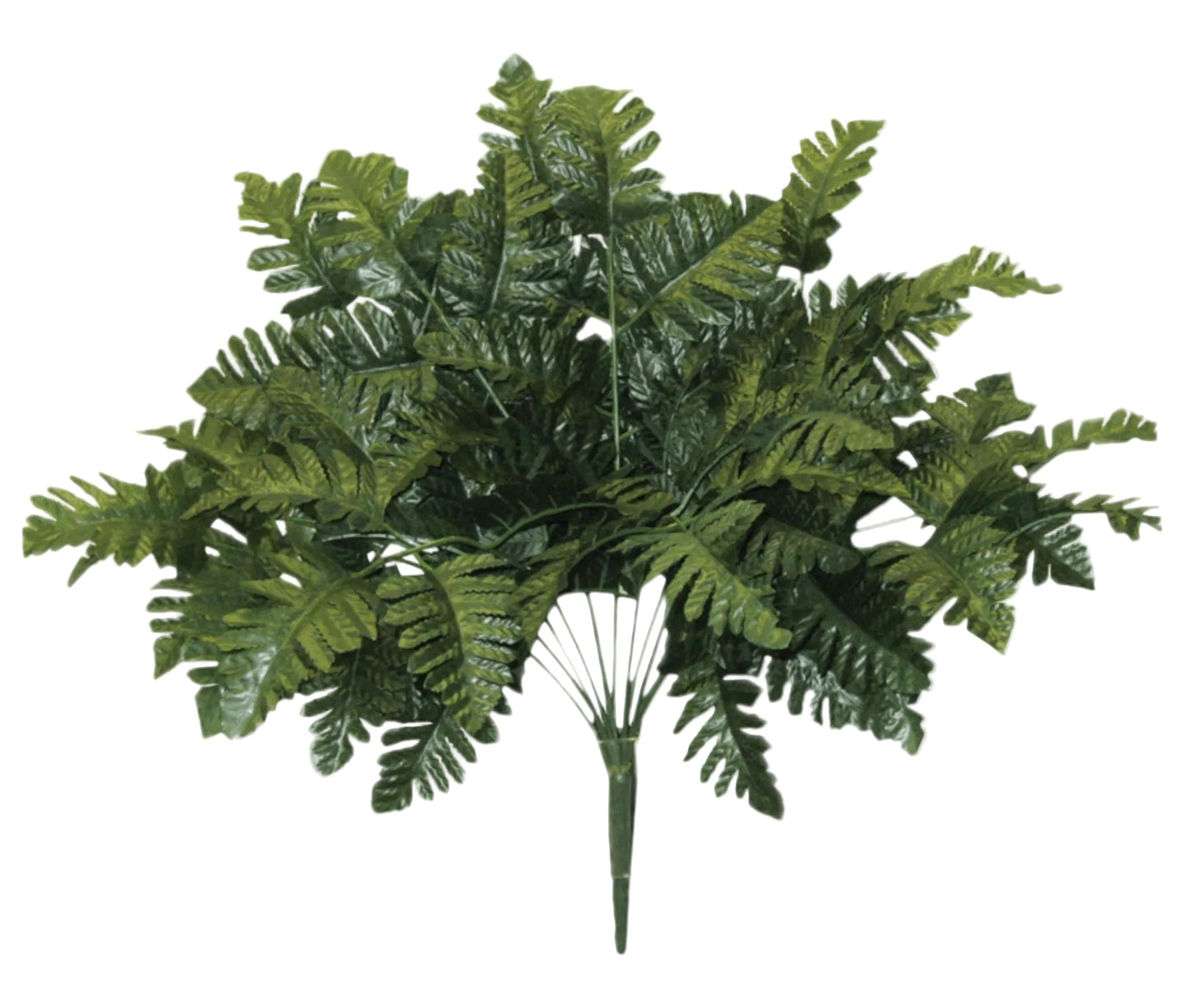 55661 | Leather Fern Bush x12 - A&B Wholesale Market Inc