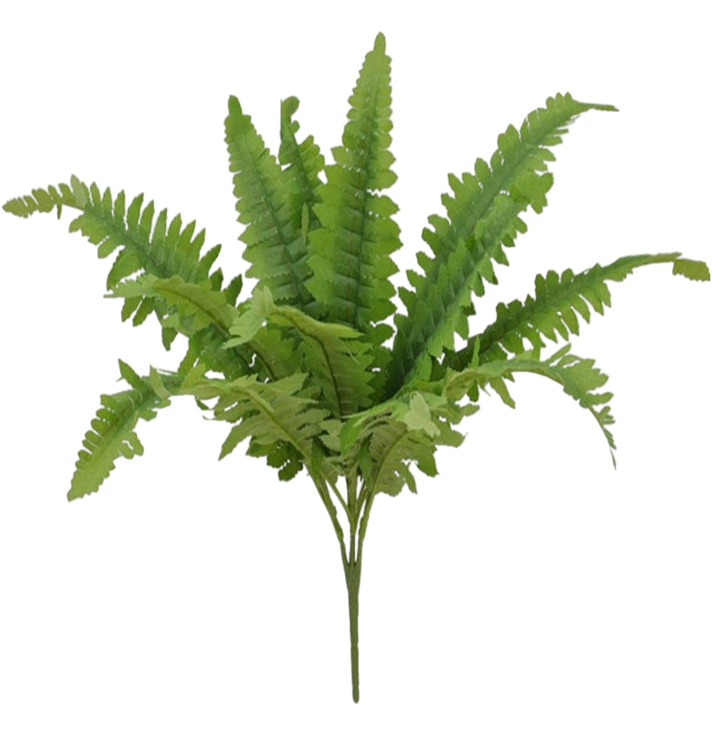 84083 | 17" | Boston Fern Bush x12 | Green - A&B Wholesale Market Inc