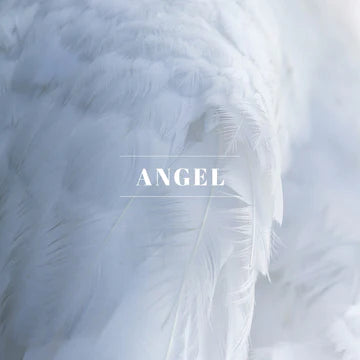 10069 Spray-Angel 4oz. - A&B Wholesale Market Inc