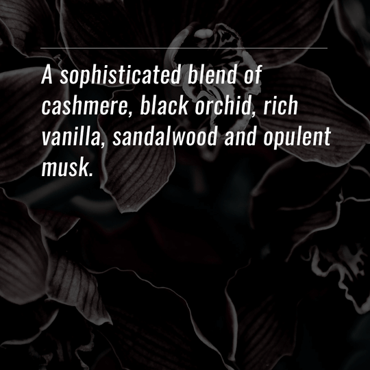 40233 | Votive | Black Orchid