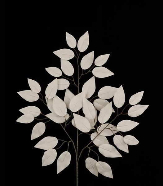 FG633710 23"L FICUS SPRAY - A&B Wholesale Market Inc