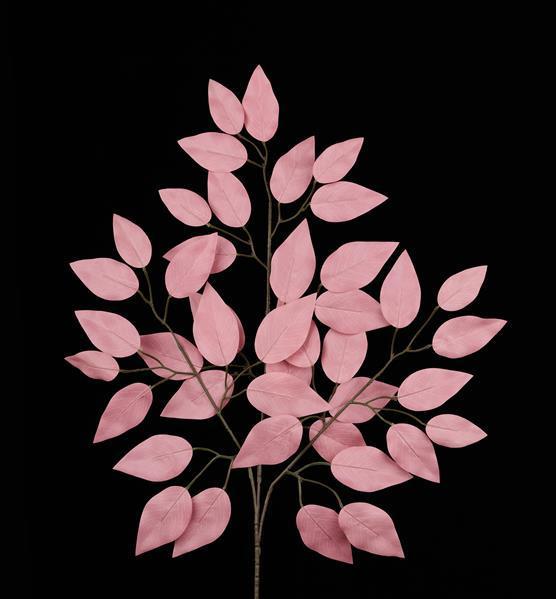FG633737 23"L FICUS SPRAY - A&B Wholesale Market Inc