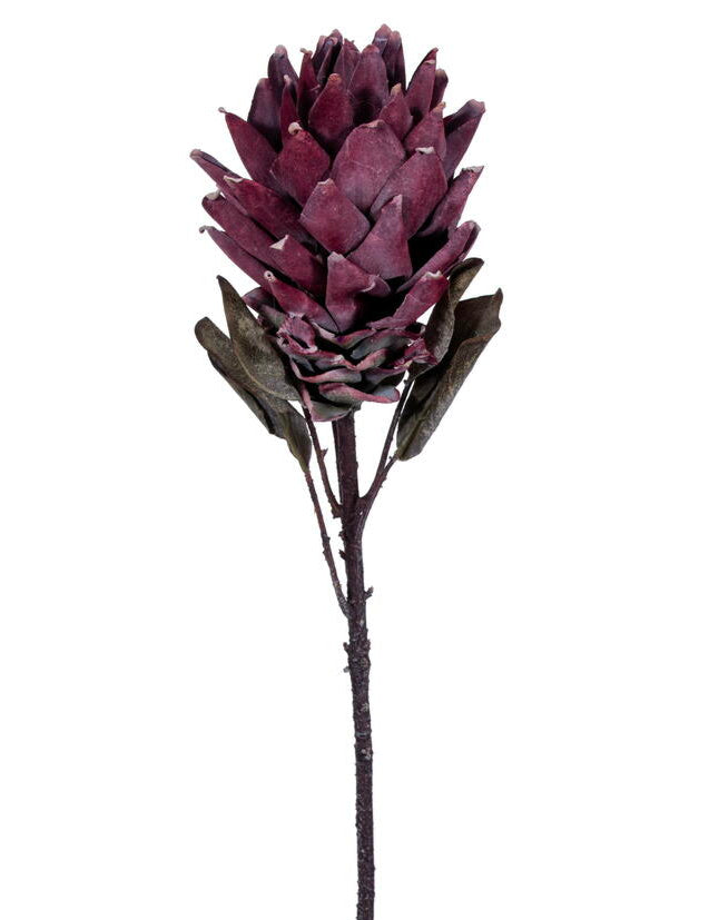 FMA230103 30.5" LIGHT RED DRIED PROTEA STEM 2/BAG - A&B Wholesale Market Inc
