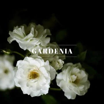 00024 Spray-Gardenia 4oz. - A&B Wholesale Market Inc