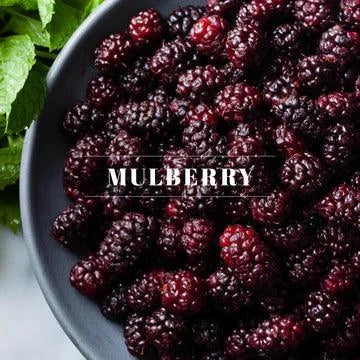 0005111 ELITE CANDLE-Mulberry 11OZ. - A&B Wholesale Market Inc