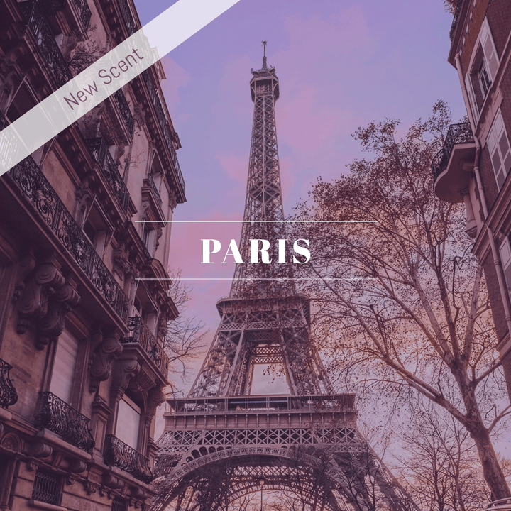 00032 | 4oz. Spray | PARIS - A&B Wholesale Market Inc