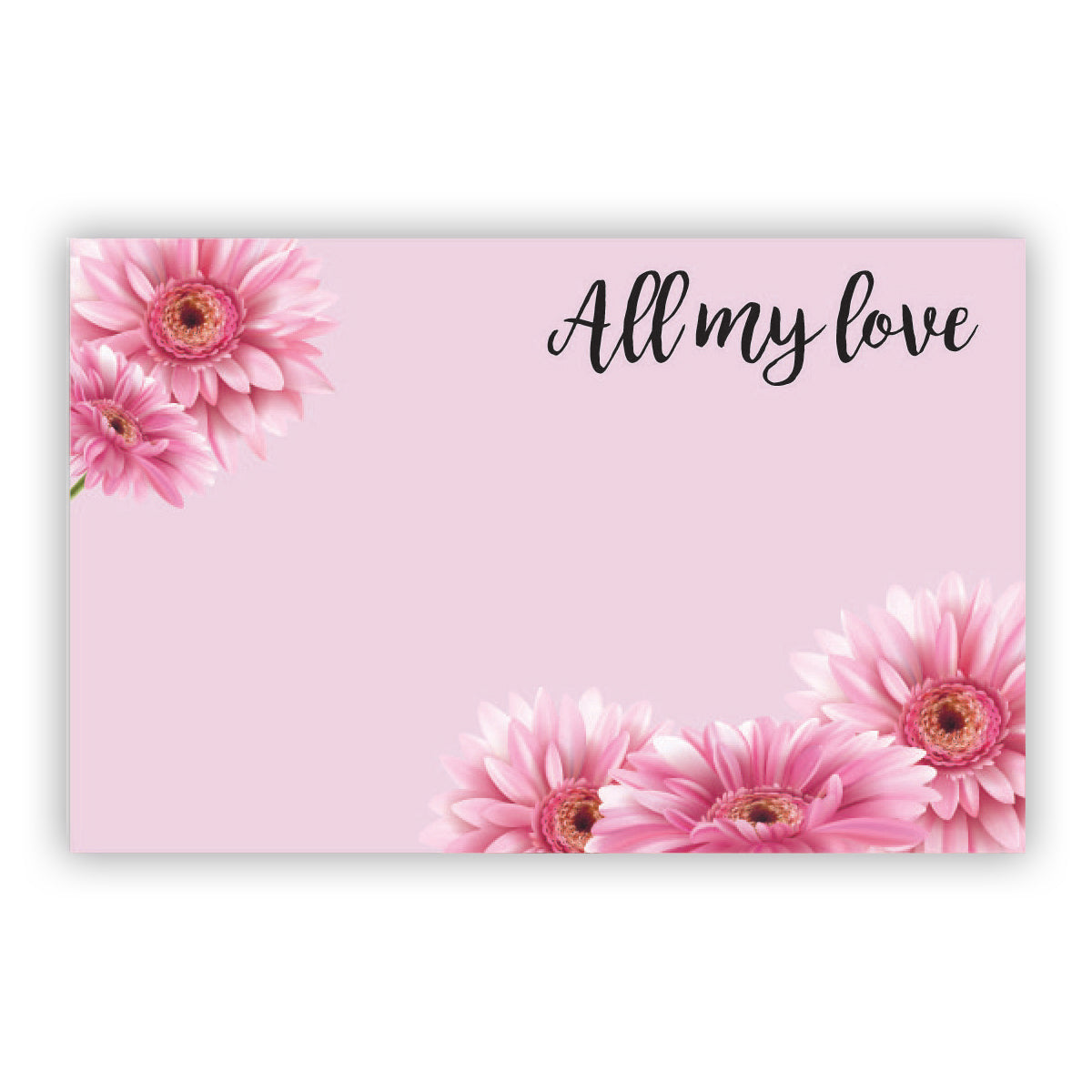 SP0559 | LOVE | "All my love" | Pink gerberas w/pink background | 50Cards/Pkg