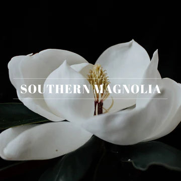 00025 | 4oz. Spray | Southern Magnolia