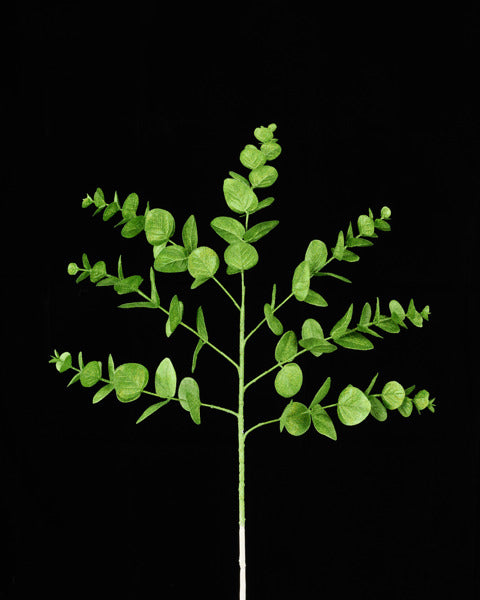 XS236175 | 24.5" | Glitter Eucalyptus Spray x7 | Lime Green