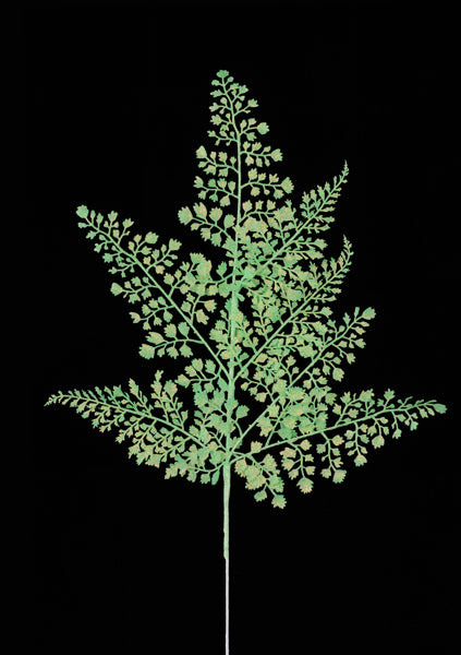 XS236833 | 23"L | Glitter Maidenhair Fern Spray x7