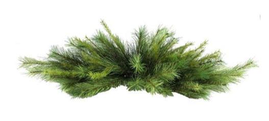 XX2164 | 42"L | APPALACHIAN PINE CENTERPIECE
