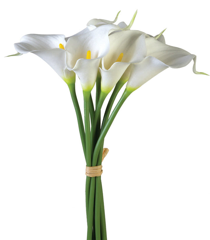 2242036WH | 12" | CALLA LILY STEM X7 | WHITE