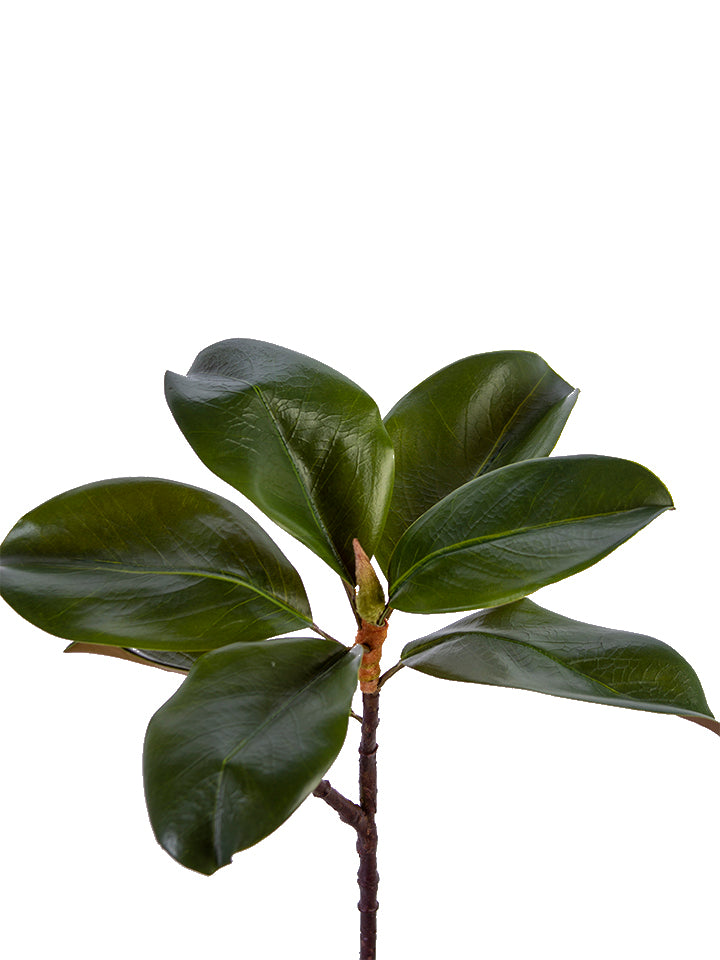 2310460GR 18" MAGNOLIA LEAF SPRAY - A&B Wholesale Market Inc