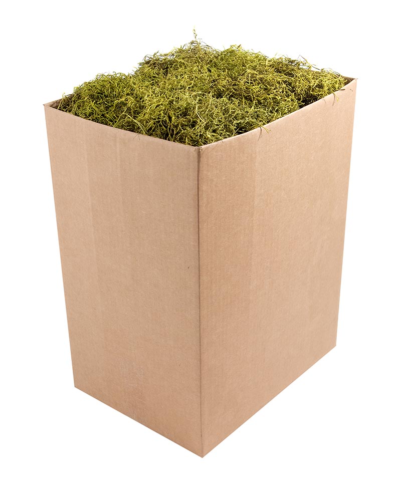 27022 SPANISH MOSS PR BULK 5LB CH - A&B Wholesale Market Inc