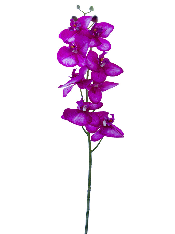 2230072FU | 44" | PHALAENOPSIS SPRAY | FUCHSIA