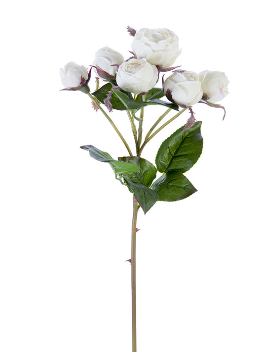2251000CW | 22" | FRESH TOUCH ENGLISH ROSE BUDS | CREAM/WHITE - A&B Wholesale Market Inc