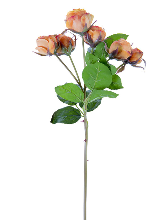 2251000LO | 22" | FRESH TOUCH ENGLISH ROSE BUDS | LT.ORANGE