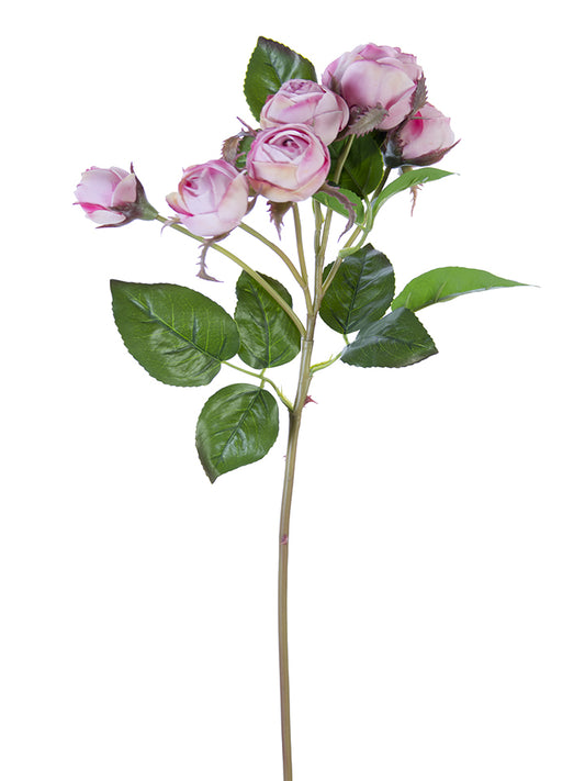 2251000PK | 22" | FRESH TOUCH ENGLISH ROSE BUDS | PINK