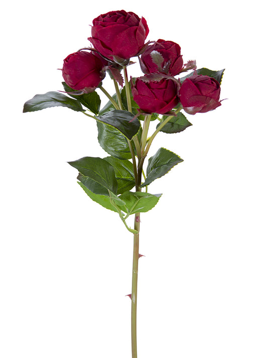 2251000XR | 22" | FRESH TOUCH ENGLISH ROSE BUDS | DK. RED