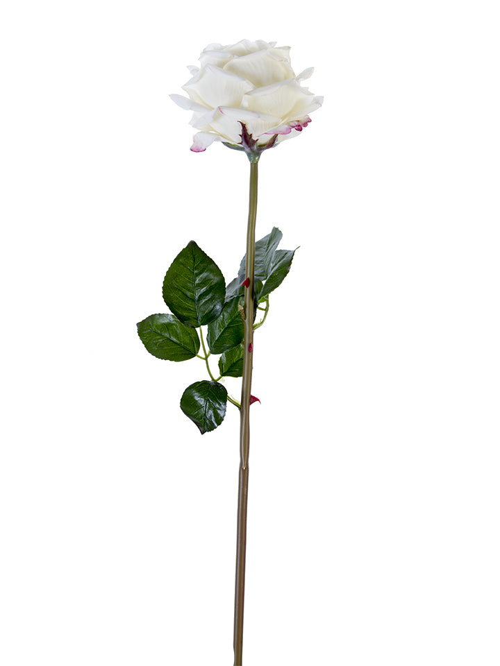 2251001CW | 27" | HEDGEROW ROSE STEM | CREAM/WHITE - A&B Wholesale Market Inc