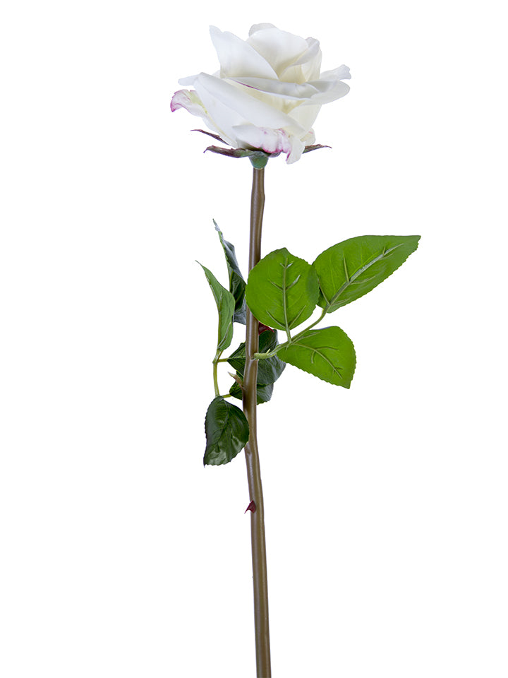2251003CW | 25" | FRESH TOUCH OPEN BEAUTY ROSE | CREAM/WHITE - A&B Wholesale Market Inc