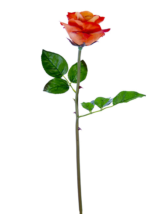 2251003OR | 25" | FRESH TOUCH OPEN BEAUTY ROSE STEM | ORANGE