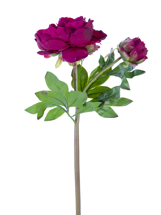 2253000AB | 23" | FRESH TOUCH PEONY 1F1B | AMERICAN BEAUTY