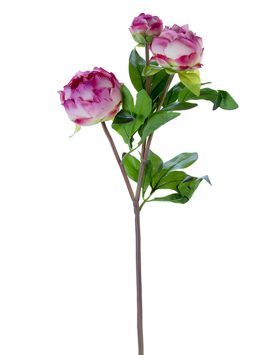 2253001FC | 28" | FRESH TOUCH PEONY BUDS | FUCHSIA/CREAM