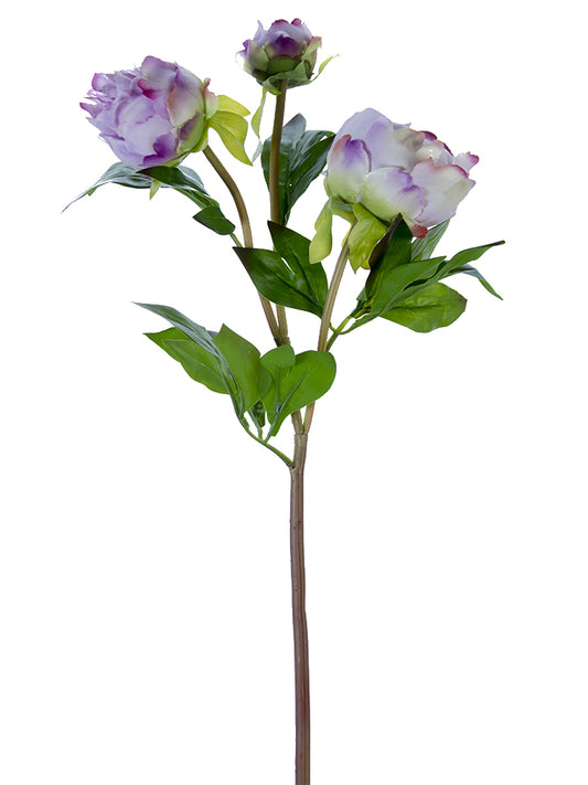 2253001LV | 28" | FRESH TOUCH PEONY BUDS | LAVENDER