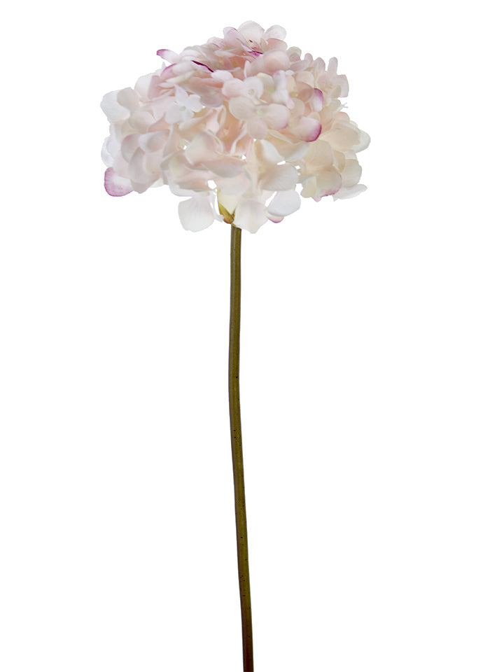 2254000BH | 21" | FRESH TOUCH GARDEN HYDRANGEA | BLUSH PINK - A&B Wholesale Market Inc