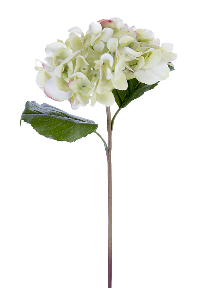 2254001LG | 22" | FRESH TOUCH GRAND HYDRANGEA | LT. GREEN