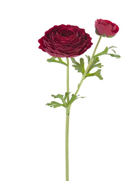 2256000RD | 23" | FRESH TOUCH OPEN RANUNCULUS | RED