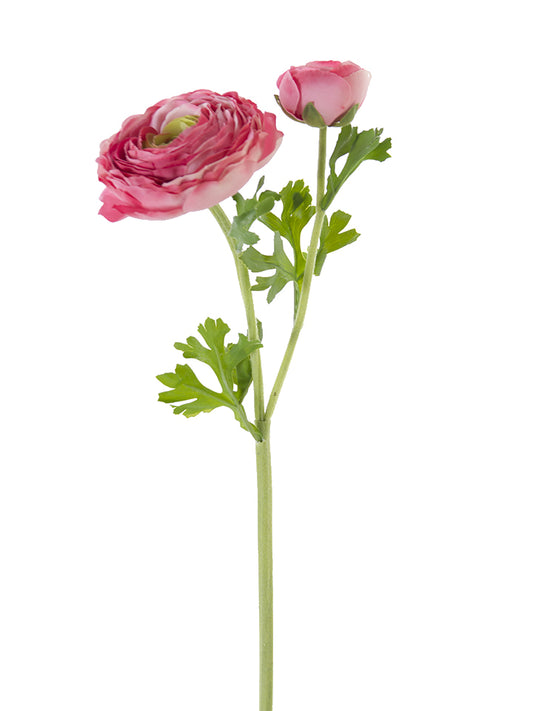 2256000SM | 23" | FRESH TOUCH OPEN RANUNCULUS | SALMON