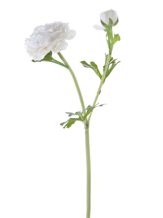 2256001CR 22" BUTTERCUP RANUNCULAS SPRAY FRESH TOUCH CREAM - A&B Wholesale Market Inc