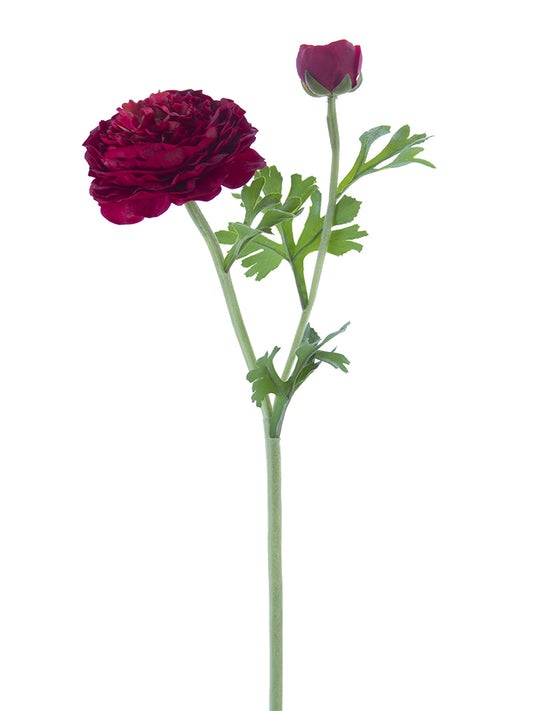 2256001RD | 22" | FRESH TOUCH BUTTERCUP RANUNCULUS | RED