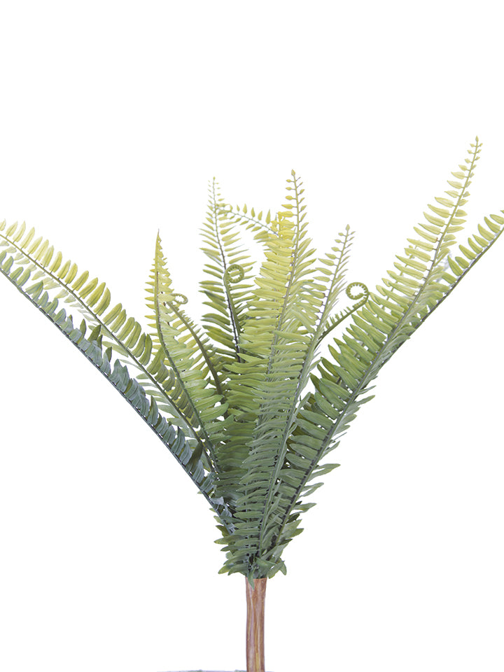 2320066GR | 20" | BOSTON FERN BUSH | GREEN
