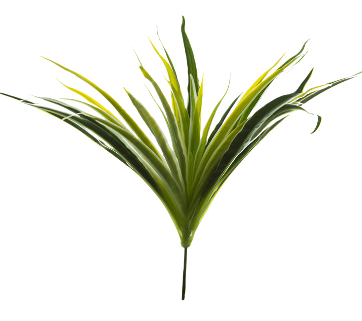 2120044GW | 12" | ORCHID GRASS | GREEN/WHITE
