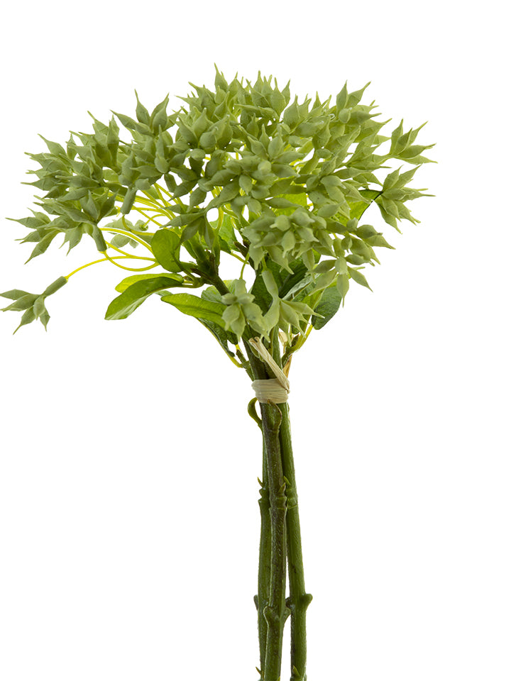 2150043CG 13" Eucalyptus Seed Bundle - A&B Wholesale Market Inc