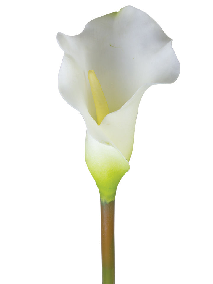 2242003WH | 26" | REAL TOUCH CALLA LILY | WHITE - A&B Wholesale Market Inc