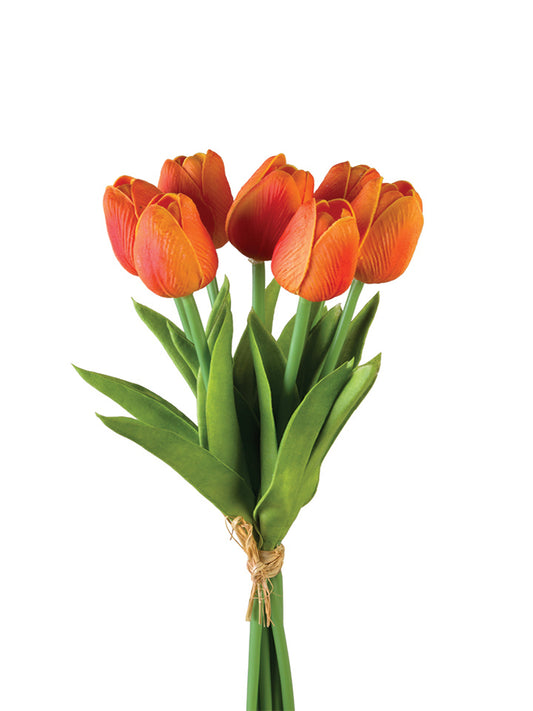 2260017OR | 12" | TULIP STEM X7 | ORANGE