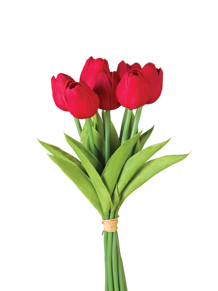 2260017RD | 12" |TULIP STEM BUNDLE X7