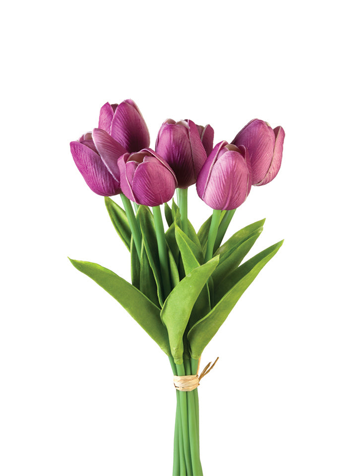 2260017VI | 12" | TULIP STEM BUNDLE X7